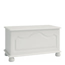 Richmond Solid White Ottoman Blanket Box by Lavishway | Benches & Storage Benches