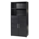 Prima Woodgrain 2 Doors Cabinet by Lavishway | Book Shelves and Cabinets-29024