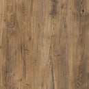 Rapallo Chestnut Finish 2 Doors TV Unit by Lavishway | TV Units Cabinets-28630