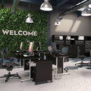 Prima Black Woodgrain 2 Doors Cabinet by Lavishway | Filing Cabinets-29050