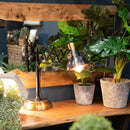 Industrial Adjustable Scissor Lamp by Lavishway | Table Lamps-39734