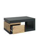 Luci Platinum and Oak Coffee Table by Lavishway | Coffee Tables-29989