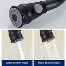 Modern Style Pull Out Sprayer Kitchen Tap by Lavishway | Kitchen Faucets-48771