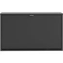 1 Door Shoe Cabinet in Matt Black by Lavishway | Shoe Cabinets-42228