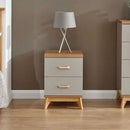 Grey Painted 2 Drawer Bedside Cabinet by Lavishway | Bedside Tables-43464