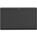 1 Door Shoe Cabinet in Matt Black by Lavishway | Shoe Cabinets-42221