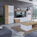 Luci 1 Door and 2 Drawer Wide TV Unit by Lavishway | TV Units Cabinets-35116