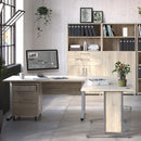 Prima Oak 2 Doors Cabinet With 4 Shelves by Lavishway | Book Shelves and Cabinets-29015