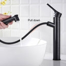 Contemporary Style Pull Out Bathroom Tap by Lavishway | Bathroom Faucet-49183