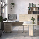 Prima Oak Finish 4 Drawers Filing Cabinet by Lavishway | Filing Cabinets-29142