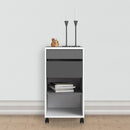 Function White & Black Mobile File Cabinet by Lavishway | Filing Cabinets-30632