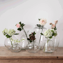 Stylish Amphora Clear Glass Vase by Lavishway | Vases-51016