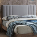 Cheslyn Modern Upholstered Plush Velvet Fabric Bed