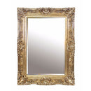 Chester Antique Golden Wall Mirror by Lavishway | Wall Mirrors-25866