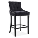 Cindy Contemporary Breakfast Barstool by Lavishway | Bar Stools-25841