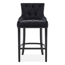 Cindy Contemporary Breakfast Barstool by Lavishway | Bar Stools-25840