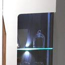 Clips Dojo 3D 1 Point Light With Foot Switch