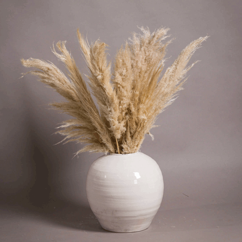 Garda Glazed White Regola Vase by Lavishway | Vases-50970