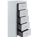 Hollywood Tall 5 Chest of Drawers by Lavishway | Chest Of Drawers-25311