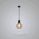 Industrial Black Wire Cage Pendant Light by Lavishway | Pendant Lighting-50306