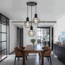 Industrial Black Wire Cage Pendant Light by Lavishway | Pendant Lighting-50302