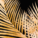 Metallic Palm Glass Gold Frame Wall Art by Lavishway | Art Gallery-51261