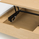 Latimer Contemporary Lift-Up Coffee Table by Lavishway | Coffee Tables-61947