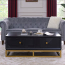 Orlando Black Finish 2 Drawers Coffee Table by Lavishway | Coffee Tables-24397