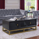 Orlando Black Finish 2 Drawers Coffee Table by Lavishway | Coffee Tables-24396