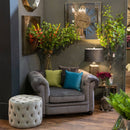 Oxford Grey Velvet Chesterfield Armchair by Lavishway | Velvet Sofa-51182