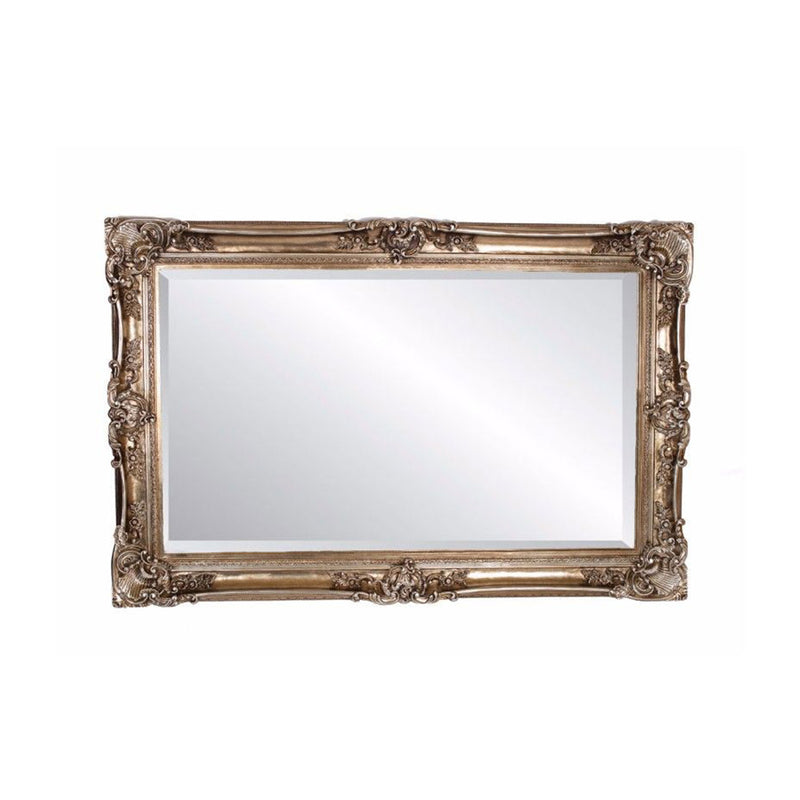 Paige Antique Silver Finish Floor Mirror by Lavishway | Floor Mirrors-24303