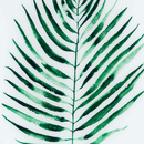 Palm Glass Image In Gold Frame by Lavishway | Art Gallery-51207