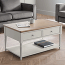Provence Grey Painted 2 Drawers Coffee Table by Lavishway | Coffee Tables-61176
