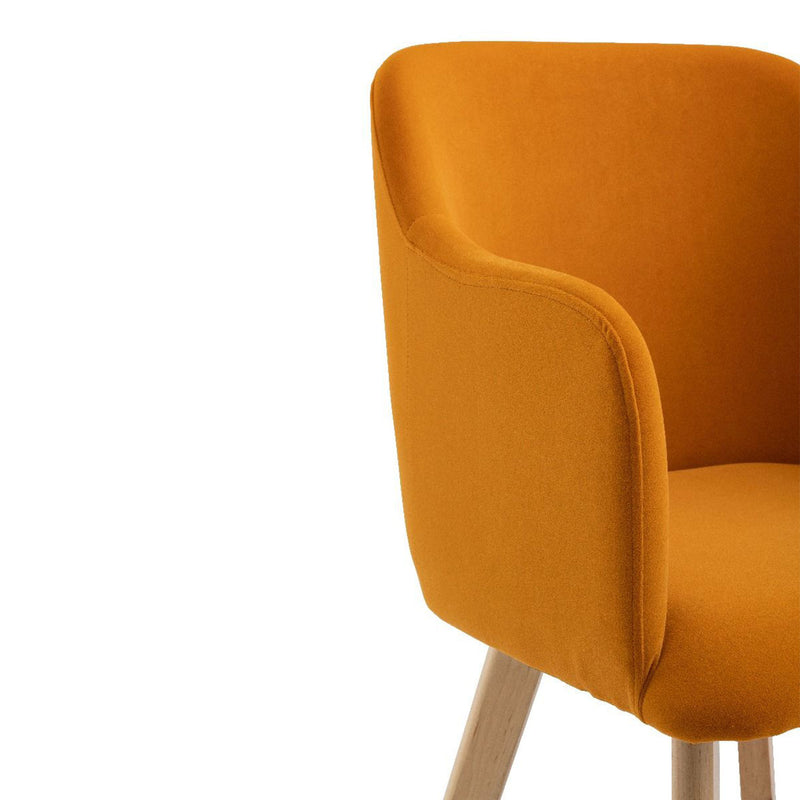 Rander Velvet Armchair (Set of 2) by Lavishway | Armchairs-24264