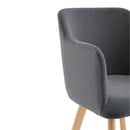 Rander Velvet Armchair (Set of 2) by Lavishway | Armchairs-24261