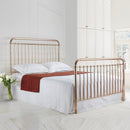 Rose Metal Nickel Finish Bed Frame by Lavishway | Metal Beds-26972