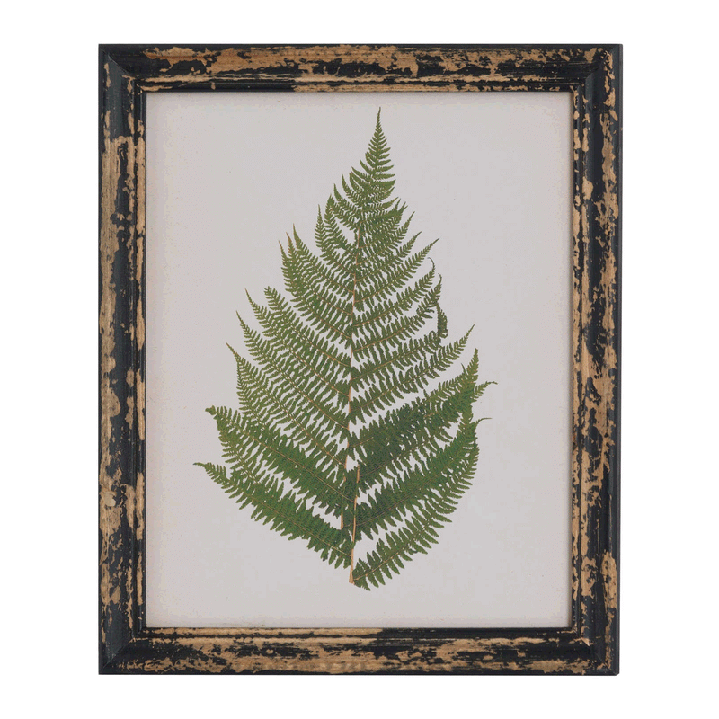 Rustic Framed Botanical Fern Wall Art by Lavishway | Art Gallery-51203