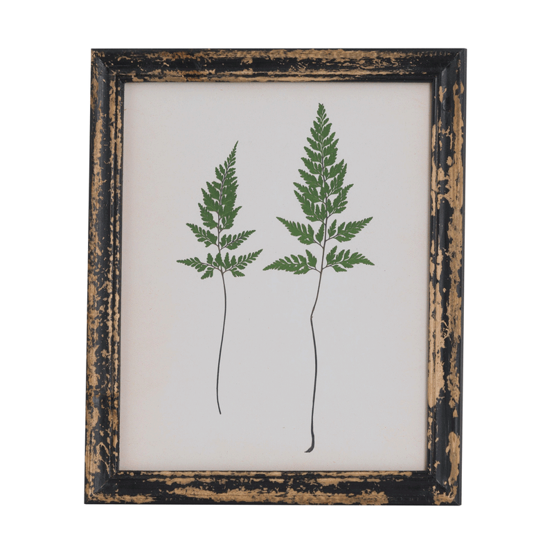 Botanical Pair Of Ferns Picture by Lavishway | Art Gallery-51196