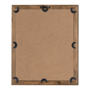 Botanical Pair Of Ferns Picture by Lavishway | Art Gallery-51197