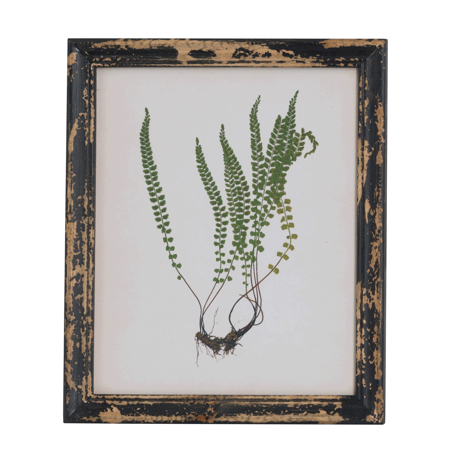 Rustic Framed Botanical Wall Art | Lavishway UK