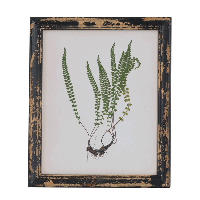 Rustic Framed Botanical Wall Art by Lavishway | Art Gallery-51190