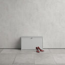 Shoes 1 Tilting Door & 2 Layers Shoe Cabinet