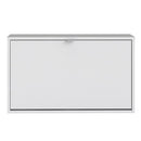 Shoes 1 Tilting Door & 2 Layers Shoe Cabinet