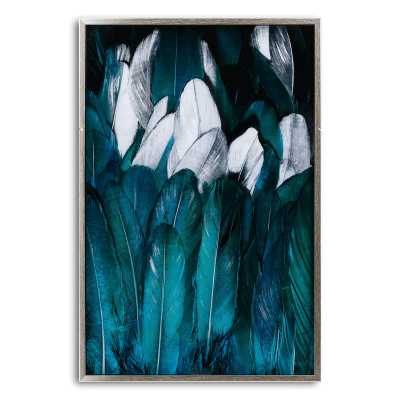 Feather Glass Image In Silver Frame by Lavishway | Art Gallery-51186