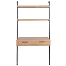 Swellegant Oak Finish Desk Bookcase by Lavishway | Book Shelves and Cabinets-32371