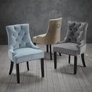 Morgan Velvet Fabric Dining Chair Set of 2 by Lavishway | Dining Chairs-38031