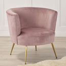 Phoebe Velvet Chair With Eclectic Gold Legs by Lavishway | Accent Chairs