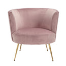 Phoebe Velvet Chair With Eclectic Gold Legs by Lavishway | Accent Chairs