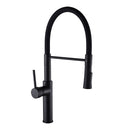 Modern Style Pull-Down Rotatable Kitchen Tap by Lavishway | Kitchen Faucets-48440