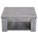 Grey Scratch Resistant Coffee Table by Lavishway | Coffee Tables-44794